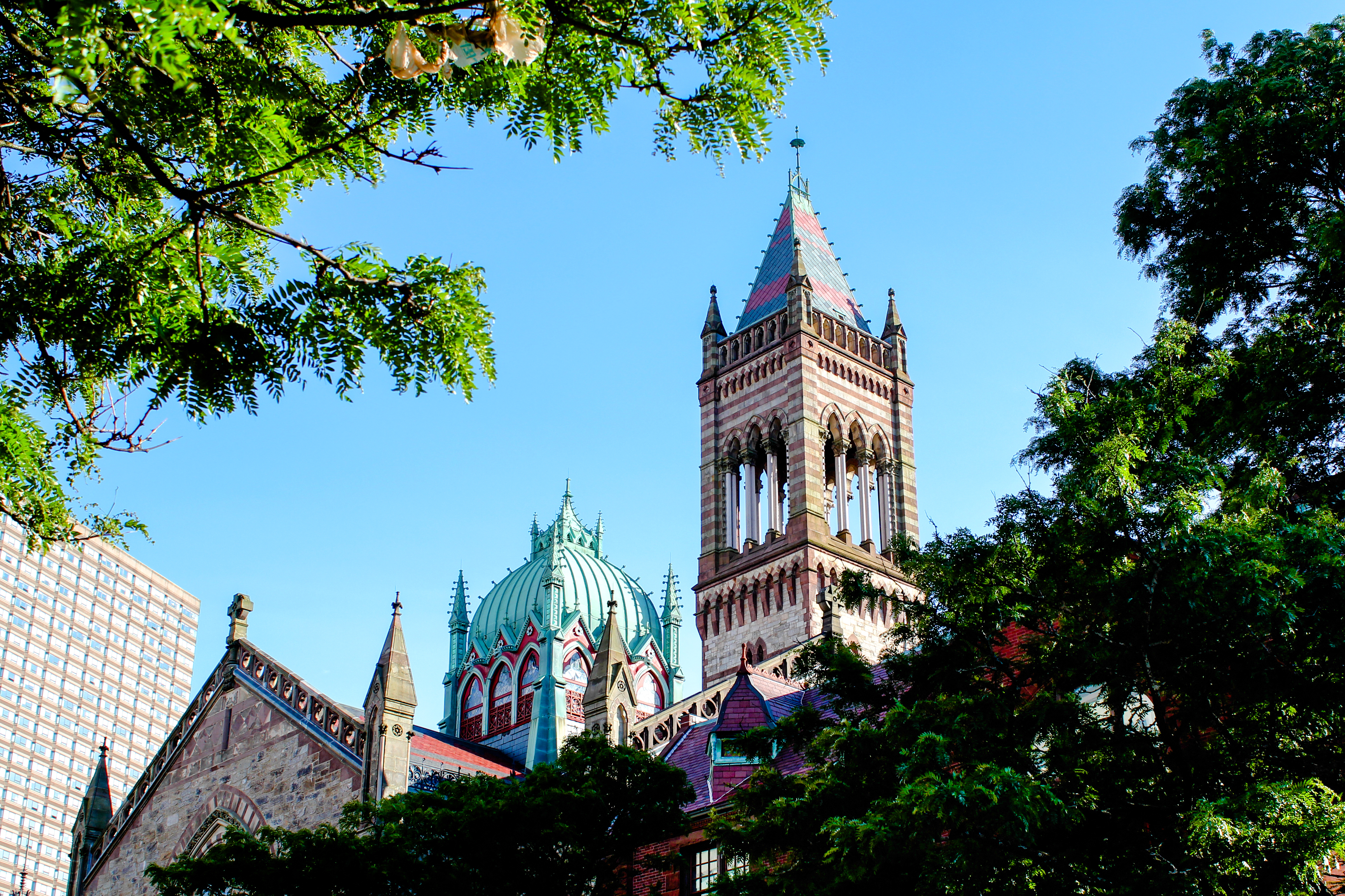 你知道澳洲教育学专业都学习什么课程?就业前景怎么样?