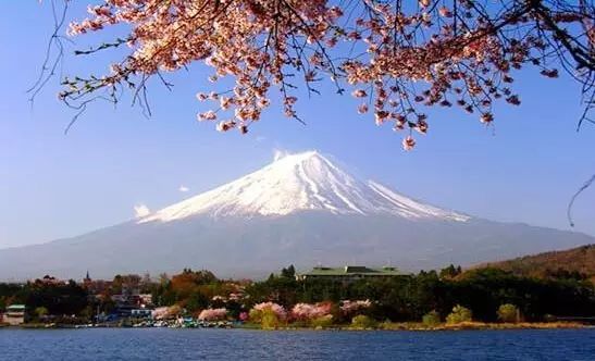 最受中国留学生欢迎的日本大学排名，有你心仪的学校吗？