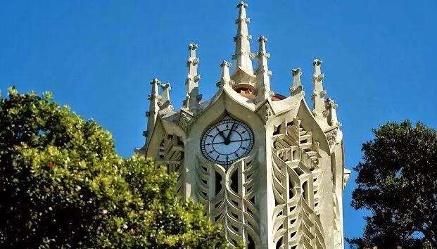 想要去新西兰留学专升本?这4所大学就是最好的选择!