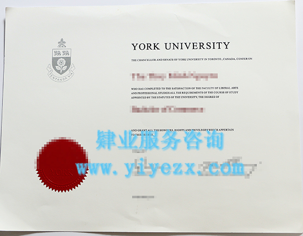 York University diploma