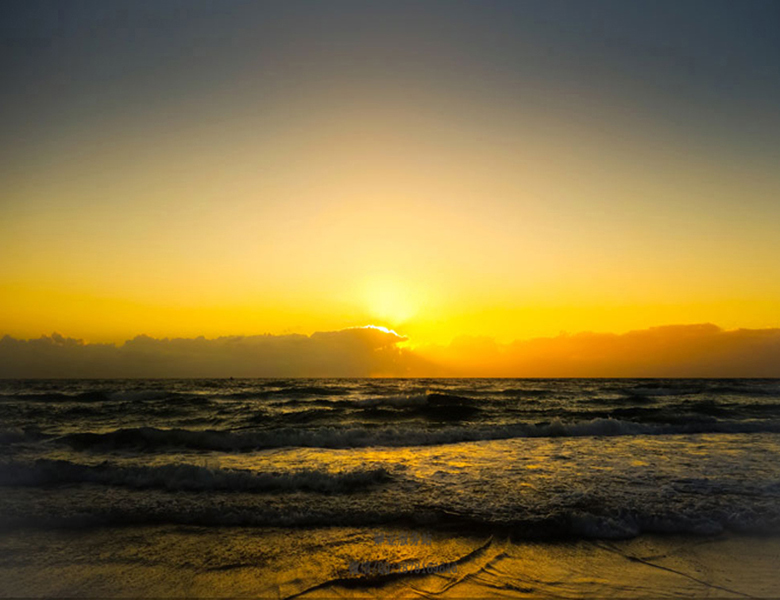 澳洲留学热门专业及就业前景分析