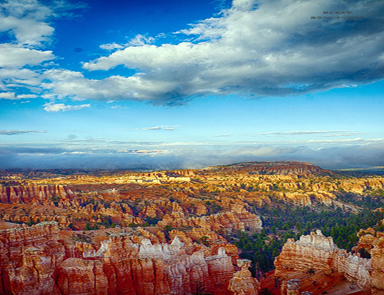 美国留学申请12个注意事项