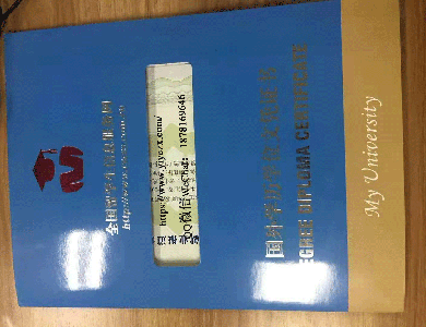 留信网认证跟教育部认证有什么不同