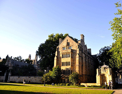 2020最新版美国康涅狄格大学UCONN文凭毕业证办理购买