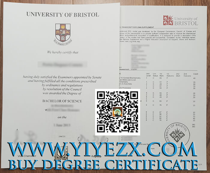 University of Bristol degree