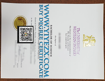 西安大略大学文凭证书样本， Buy fake University of Western Ontario BSc diploma