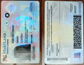 Buy a Fake Maryland Driver’s License with scannable details,  马里兰州驾照出售