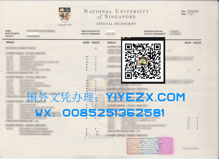 National University of Singapore (NUS) transcript,  新加坡国立大学成绩单