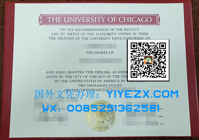 University of Chicago degree 