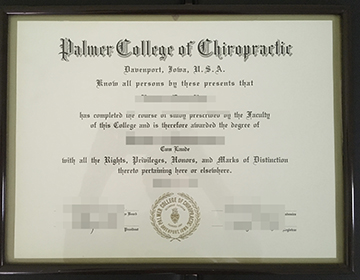 Where can I get a fake Palmer College of Chiropractic Degree?