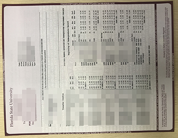 Where to buy a fake Florida State University transcript, 订购佛罗里达州立大学成绩单