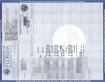 Where to buy a fake University of Florida transcript,  购买佛罗里达大学成绩单