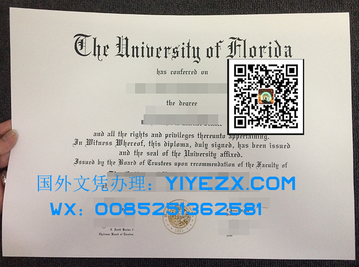 University of Florida degree