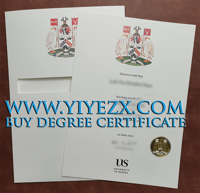 University of Sussex degree