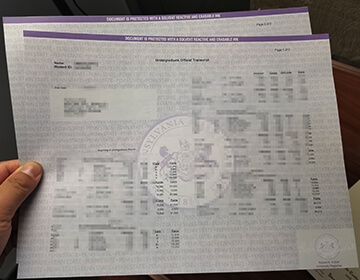 How long to buy a fake Pennsylvania State University transcript?