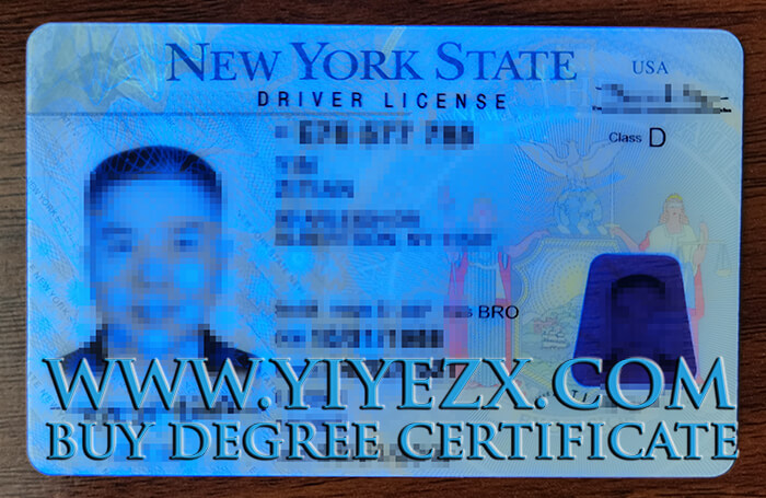 New York State Driver's License 