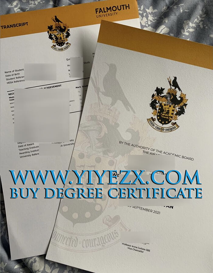 Falmouth University degree, buy a diploma online