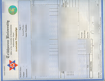 Where to buy a fake TU transcript? Buy a diploma online