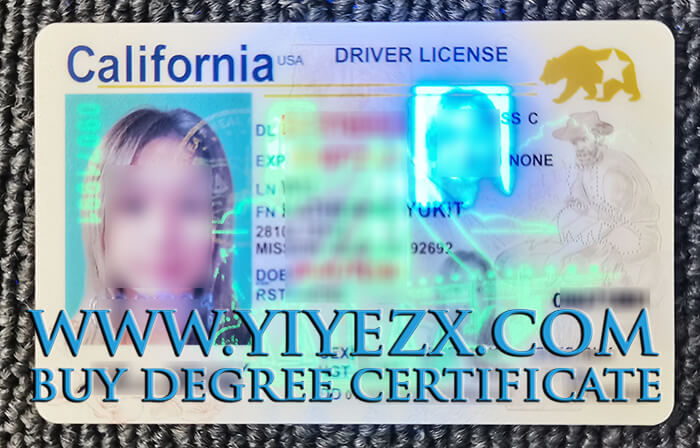 California Driver's License