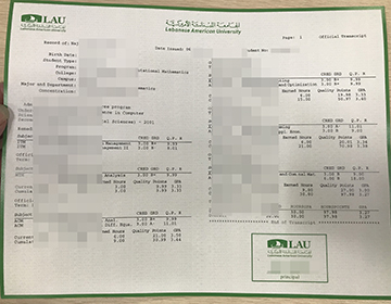 Buying a fake Lebanese American University transcript for a job, 购买黎巴嫩美国大学成绩单