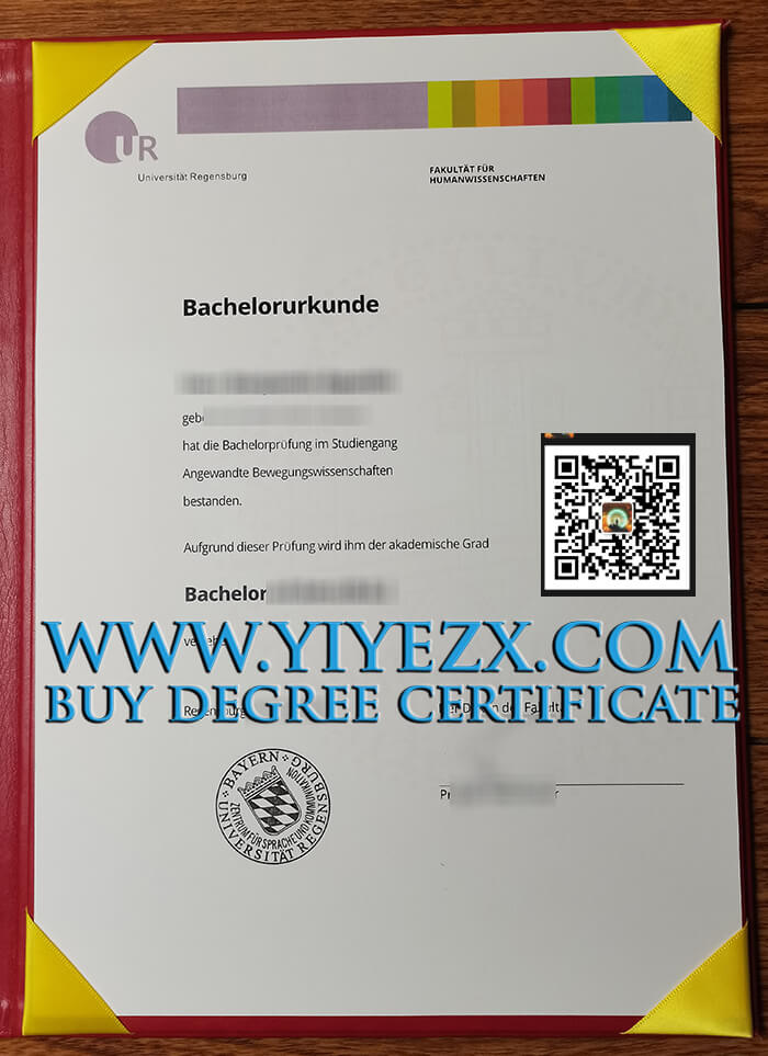 Regensburg University Diploma