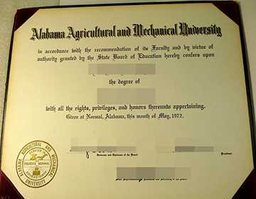 Why would people buy a fake Alabama A&M University diploma