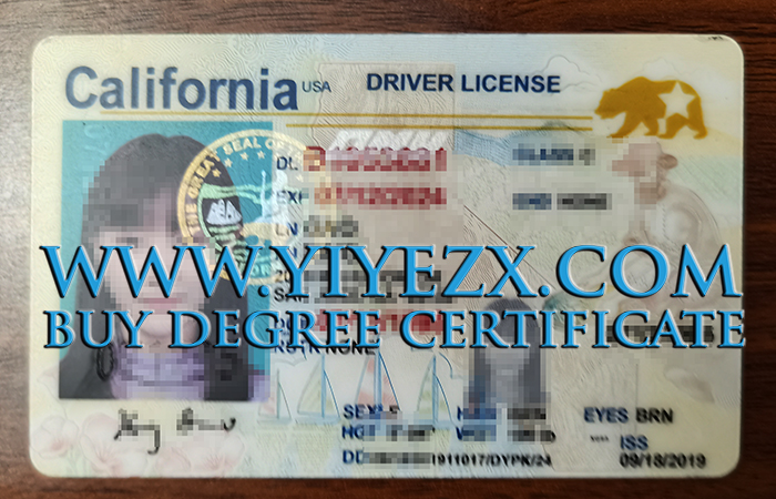 快速获得你的加州驾照，在线购买可扫描的美国驾照
