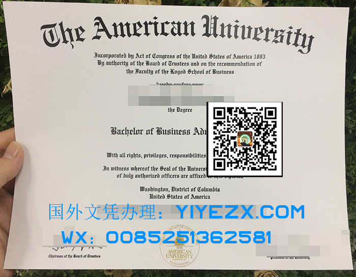 American University diploma