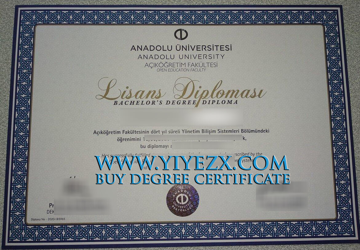 Anadolu University diploma