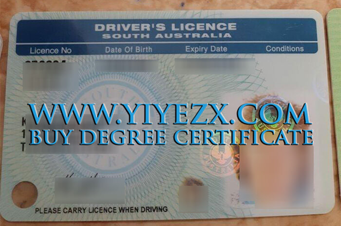  South Australian driver's license 