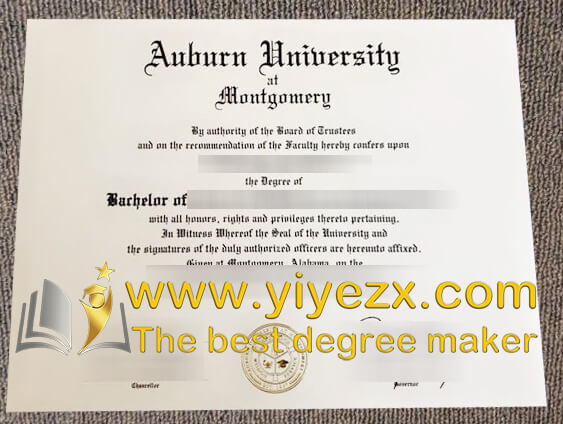 AUM diploma