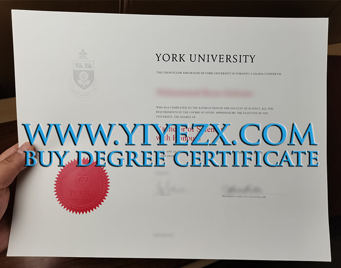 York University Bachelor of Science Degree