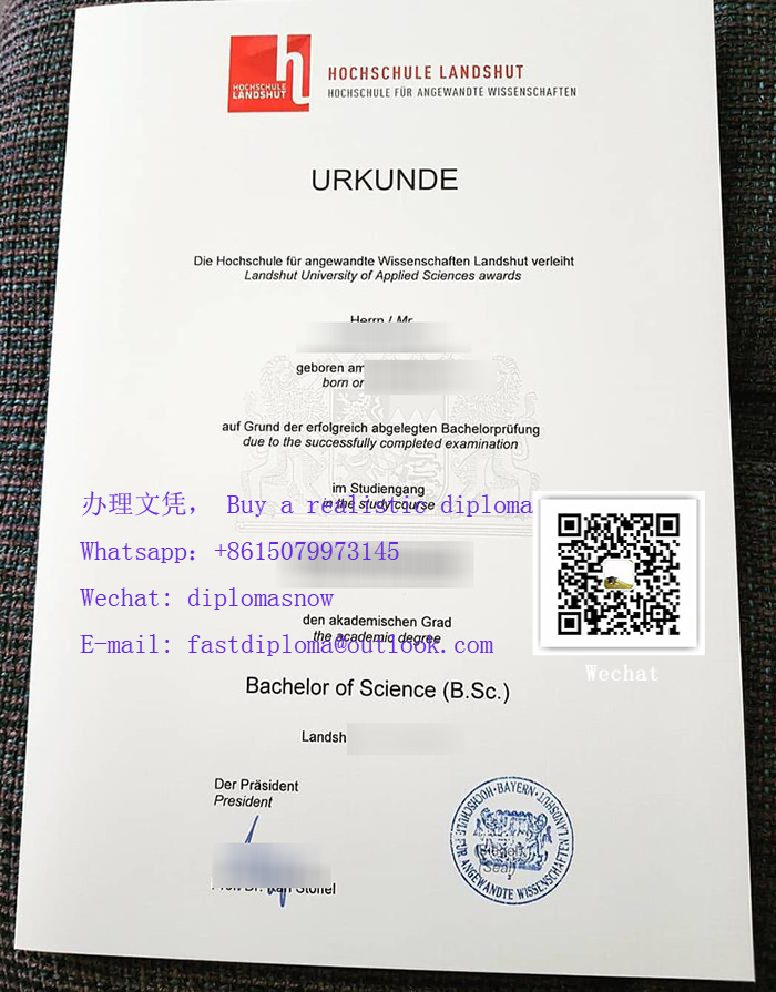 University of Applied Sciences Landshut diploma