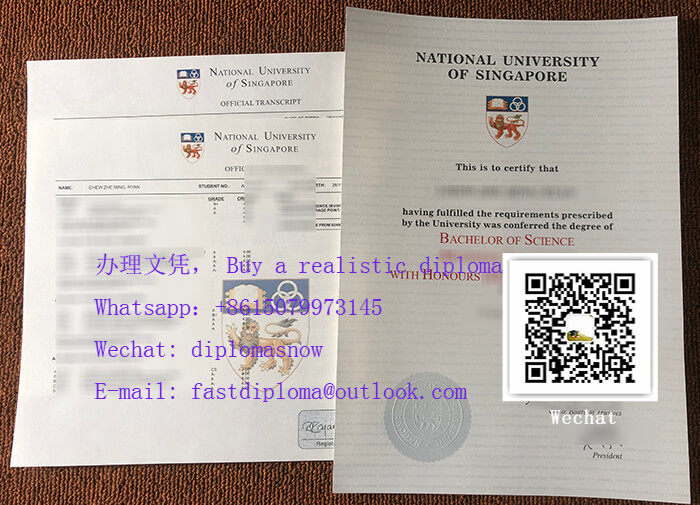 NUS degree and transcript