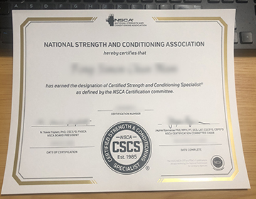 Stand Out in the Fitness Industry: Purchase a Fake NSCA CSCS Certificate