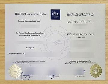 How to order a high-quality USEK degree?