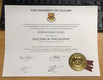 Can I get a fake University of Calgary degree with transcript online?