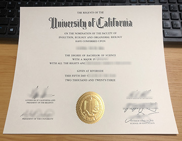 How much to buy a realistic UC Riverside diploma in 2024?