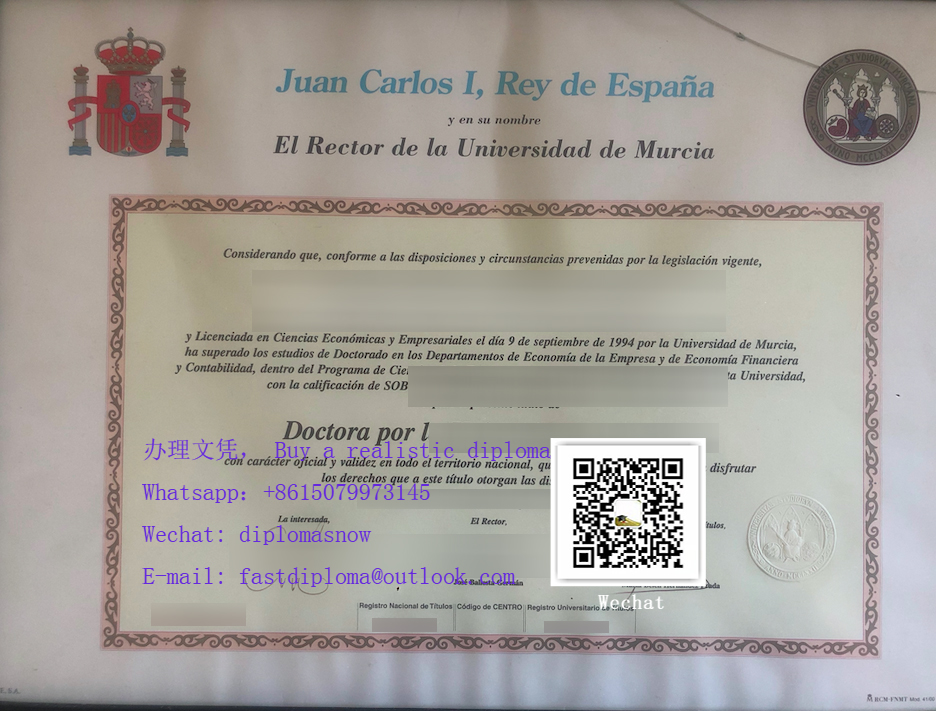 Universidad de Murcia degree