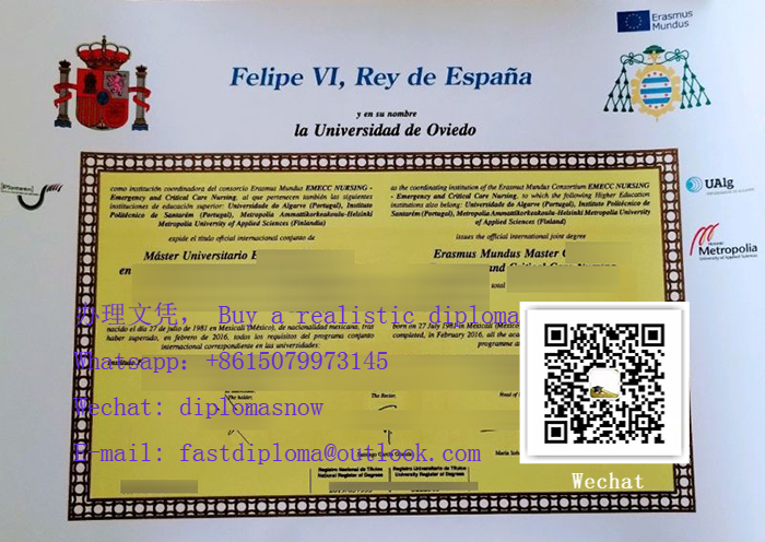 Universidad de Oviedo diploma