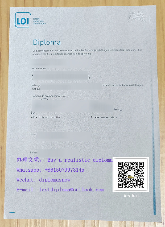 Leidse Onderwijsinstellingen diploma