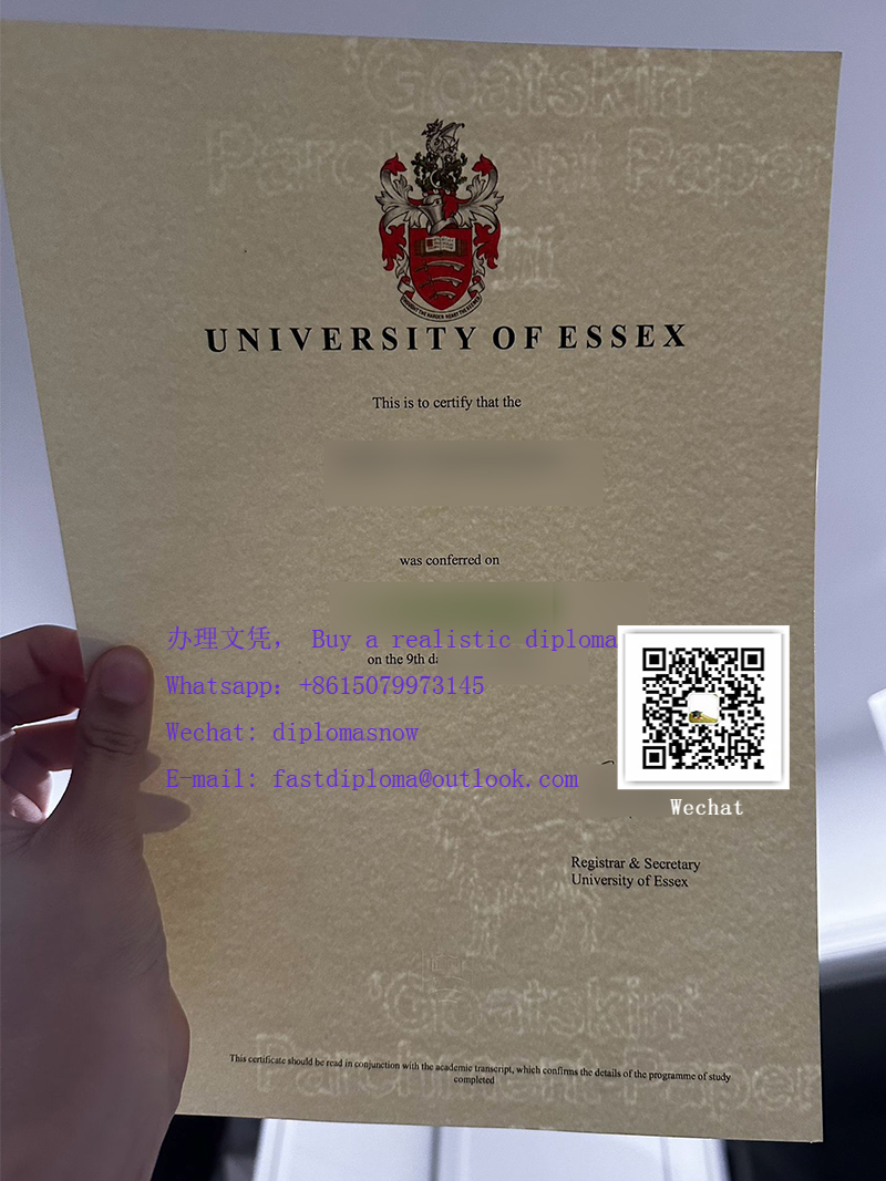 University of Essex degree