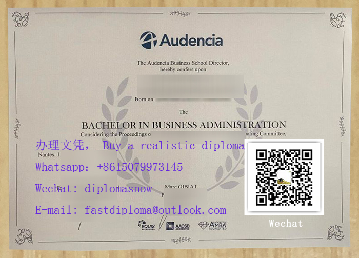 Audencia Business School Degree
