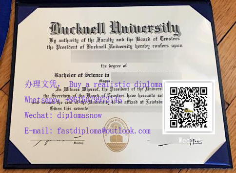 Bucknell University Diploma