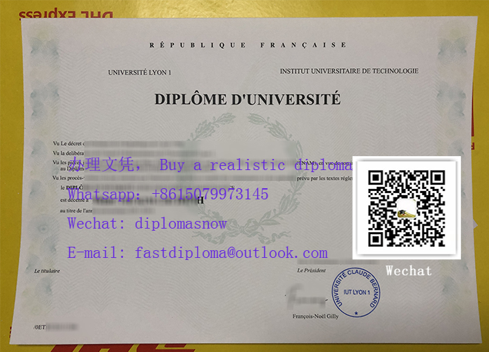 Claude Bernard University Lyon 1 diploma