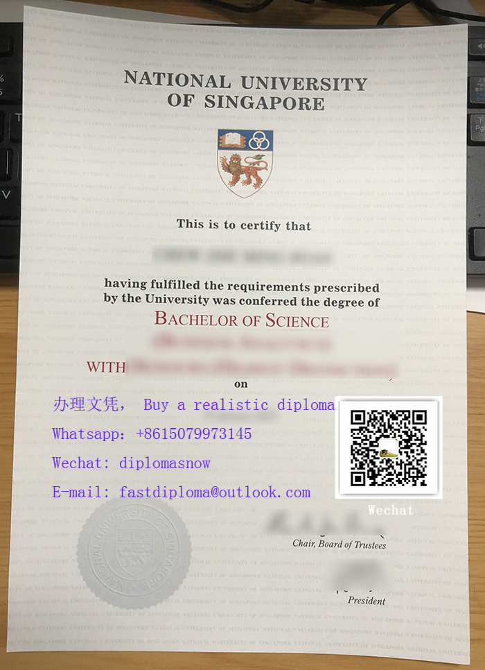 National University of Singapore degree