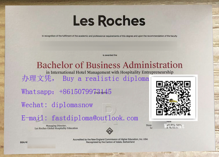 Les Roches degree