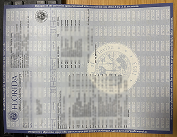 Purchase a University of Florida (UF) Transcript，佛罗里达大学（UF）成绩单