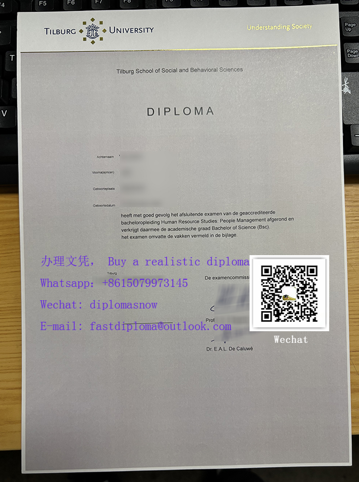 Tilburg University diploma