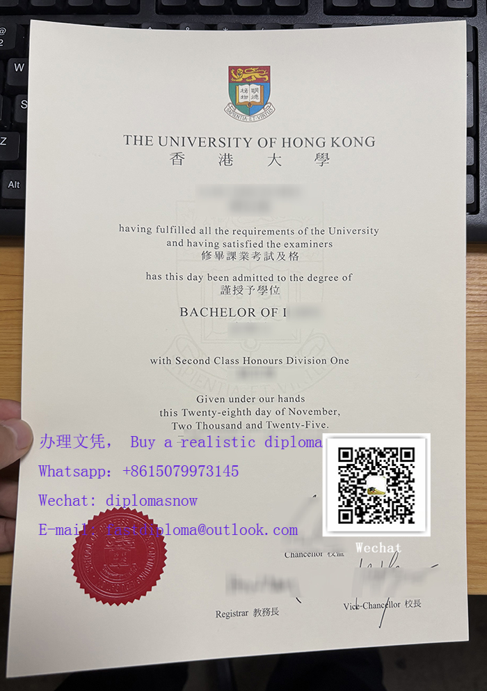 University of Hong Kong degree